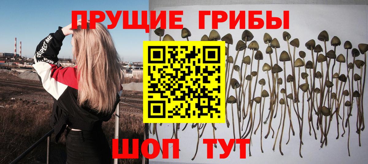 Лысьва  наркота  Галлюциногенные грибы Psilocybe  Вход с VPN  Псилоцибиновые грибы MAGIC MUSHROOMS 